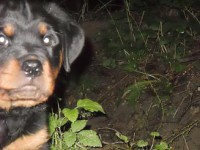 /album/aron/snimek-0385-jpg/